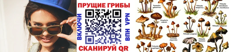 Купить  Туймазы  Галлюциногенные грибы MAGIC MUSHROOMS 